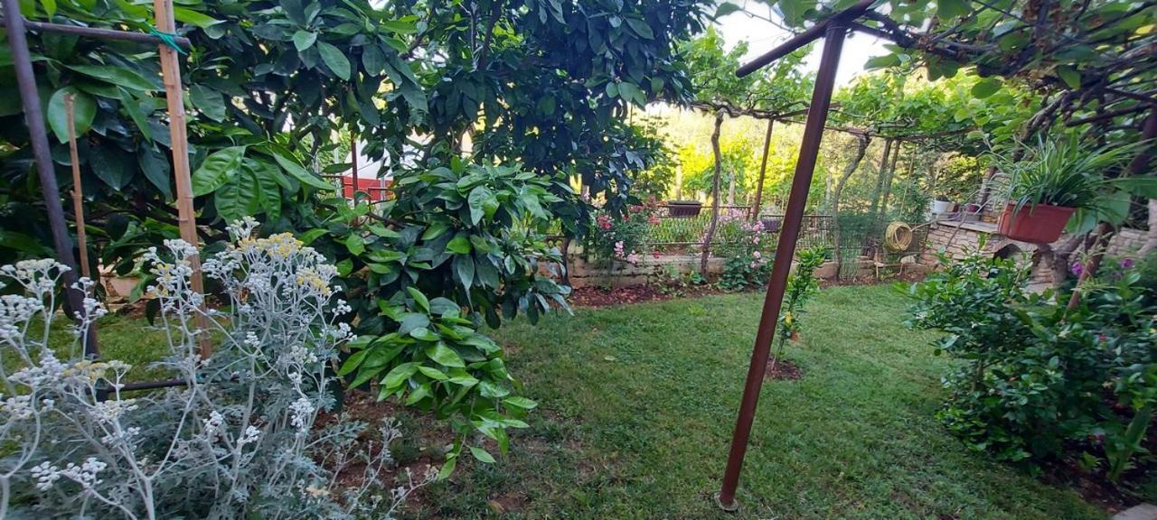 Appartamento Danijela